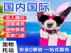 淮安涟水航空快运国际宠物托运 【国